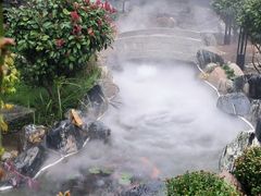-蘇河湾·新鲁菜·泰山宴(泰山店)