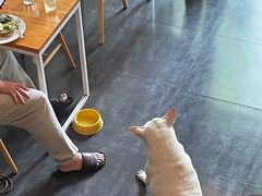 -Egg•Allday Brunch(襄阳北路店)