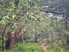 -北京鹫峰国家森林公园