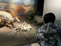 -自贡恐龙博物馆