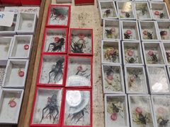 -万商花鸟市场