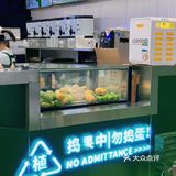 厦门新店｜首创开心果奶盖7.9圆一杯
