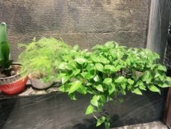 -T.1 hair salon烫染接发
