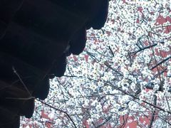 -钱王祠