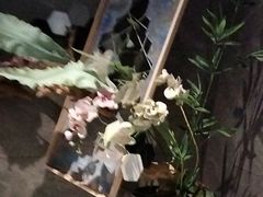 -星河湾温泉洗浴酒店