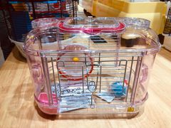 -钓仓鼠(洋桥北里小区店)