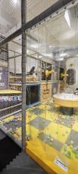 -奇乐儿momoplanet儿童乐园(卓悦汇店)