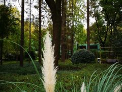 -徐家汇源景区-衡山公园