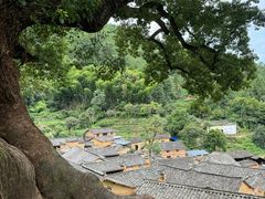 -杨家堂村