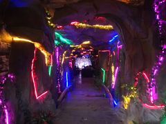 -陆氏馄饨(烟雨长廊店)