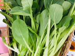 -二荆条·蜀鲜汇城市森林火锅