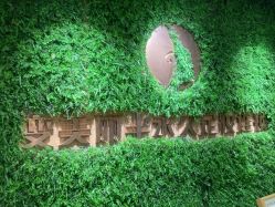 -变美丽半永久纹眉连锁·机器野生眉•洗眉