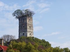 -江心屿景区
