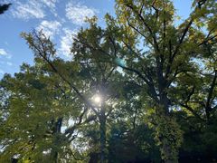 -阿男野栗王(金门路店)