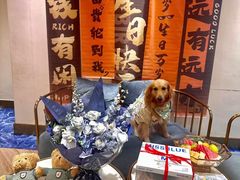 -田园肥牛鲍鱼先生(新北店)