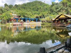 -西双版纳原始森林公园