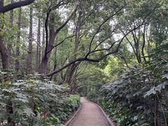 -同里国家湿地公园