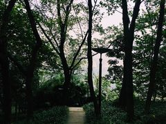 -重庆彩云湖湿地公园