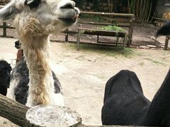 -昆明动物园