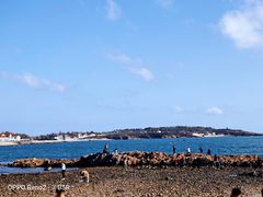 -青岛第二海水浴场
