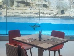 -帝企鹅自助餐厅•儿童岛•真企鹅(长隆企鹅酒店)