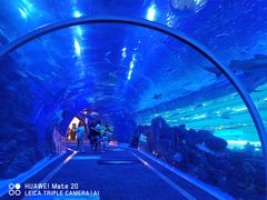 -成都浩海立方海洋公园