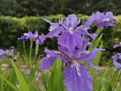 -东升八家郊野公园