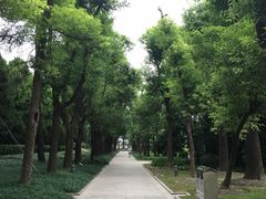 -宋庆龄陵园