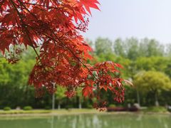 -南京珍珠泉风景区
