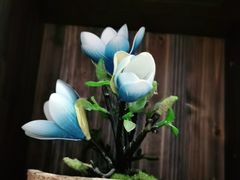 -春天来了(印象新天地店)