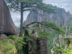 -黄山风景区