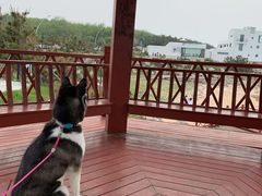 -海岛日记(养马岛店)