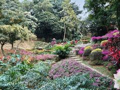 -桃花涧