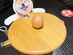 柴柴红茶-逗柴咖啡屋·狗咖猫咖宠物桌游
