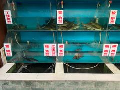 水产区-高坎一品甲鱼庄(两河店)