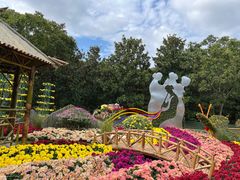 -上海共青森林公园