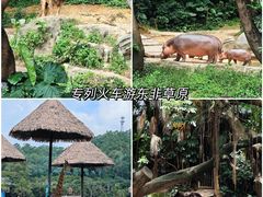 -广州长隆野生动物世界