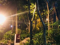 -青城道汤池