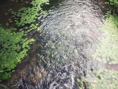 -中国茶叶博物馆(双峰馆区)