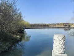 -溱湖国家湿地公园