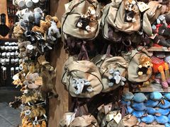 -奥利弗·雷金纳德·坦博国际机场