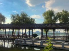 -金银湖国家城市湿地公园