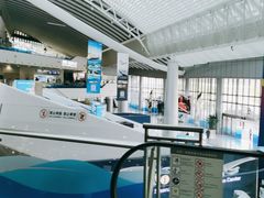 -招商蛇口邮轮母港(观光客运)
