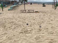-那香海钻石沙滩浴场
