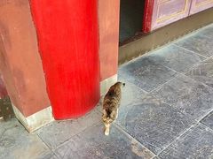 -开福禅寺