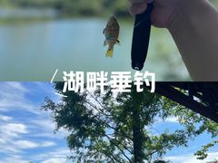 -重庆彩云湖湿地公园