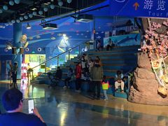 -烟台海昌鲸鲨海洋公园