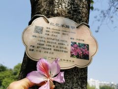 -东山湖公园