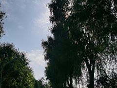 -青龙湖公园