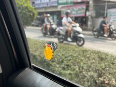 -宁曼路